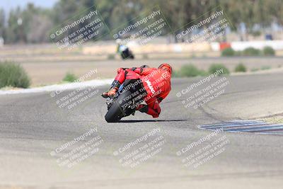 media/Sep-07-2025-Pacific Track Time (Sun) [[a6322260b9]]/A and B Group/Wheelie Bump A and B/